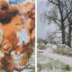vernissage Kunstmagazin